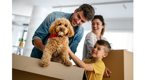 Will Rates Go Down in 2026?